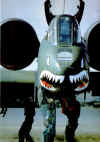 A-10 Thunderbolt image3