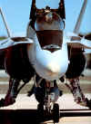 McDonell Douglas F/A-18 Hornet image6