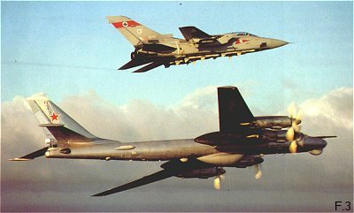 Tornado F.3 and a Tu-95 'Bear'